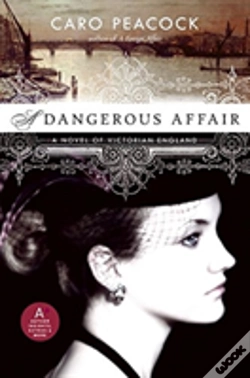 Capa do artigo A Dangerous Affair