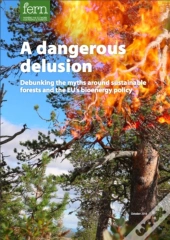 A Dangerous Delusion