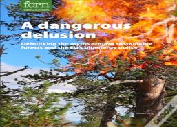 A Dangerous Delusion