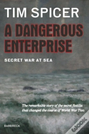Capa do artigo A Dangerous Enterprise