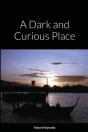 A Dark And Curious Place - Preview