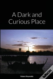 Capa do artigo A Dark And Curious Place