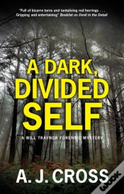 Capa do artigo A Dark, Divided Self