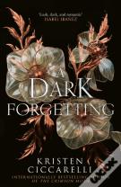 A Dark Forgetting