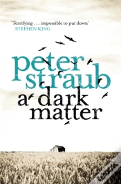 Capa do artigo A Dark Matter