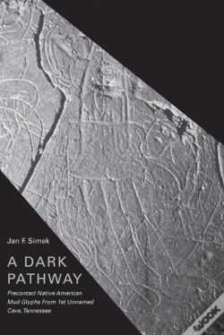 Capa do artigo A Dark Pathway