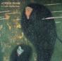 A Dark Reflection - Vinil - Preview