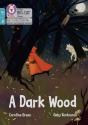 A Dark Wood - Preview