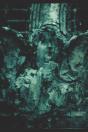 A Dark Woods' Summation - Preview