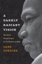 A Darkly Radiant Vision - Preview