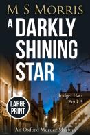 A Darkly Shining Star (Large Print)