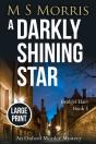 A Darkly Shining Star (Large Print) - Preview