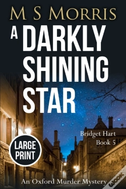 Capa do artigo A Darkly Shining Star (Large Print)