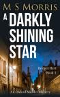 A Darkly Shining Star - Preview