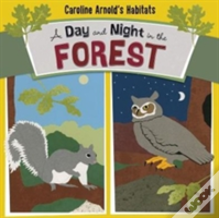 A Day And Night In The Forest