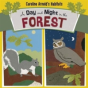 A Day And Night In The Forest - Preview