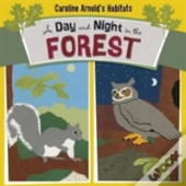 A Day And Night In The Forest