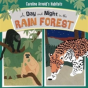 A Day And Night In The Rain Forest - Preview