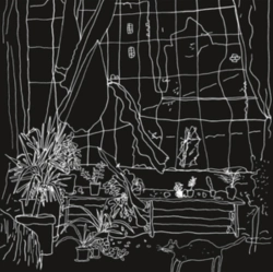 Capa do artigo A Day in the Life - CD
