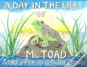 Capa do artigo A Day In The Life Of Mr. Toad