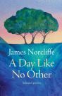 A Day Like No Other - Preview