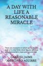 A Day With Life A Reasonable Miracle - Preview