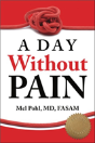 A Day Without Pain - Preview