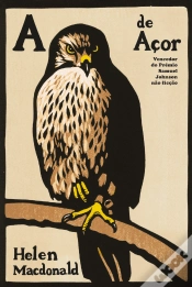 Capa do artigo A de Açor