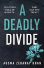 A Deadly Divide - Preview
