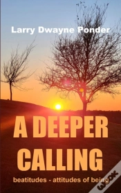 Capa do artigo A Deeper Calling