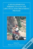 A Developmental Perspective On The Life Cycle And Treatment Process