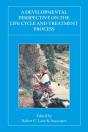 A Developmental Perspective On The Life Cycle And Treatment Process - Preview