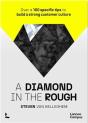 A Diamond In The Rough - Preview