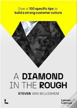 Capa do artigo A Diamond In The Rough