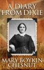 A Diary From Dixie - Preview