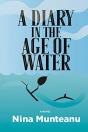 A Diary In The Age Of Water - Preview