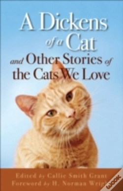 Capa do artigo A Dickens Of A Cat