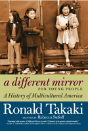 A Different Mirror For Young People - Preview