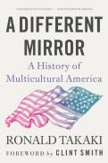 A Different Mirror