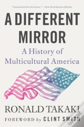 Capa do artigo A Different Mirror