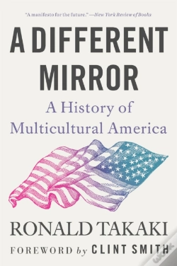 Capa do artigo A Different Mirror