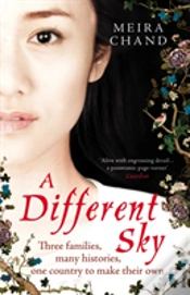 Capa do artigo A Different Sky