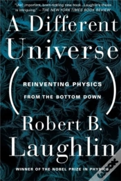 Capa do artigo A Different Universe