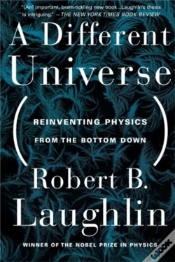 Capa do artigo A Different Universe