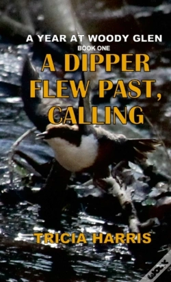 Capa do artigo A Dipper Flew Past, Calling