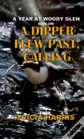 A Dipper Flew Past, Calling
