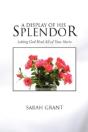 A Display Of His Splendor - Preview