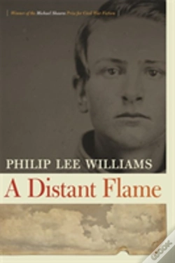 Capa do artigo A Distant Flame