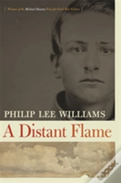 Capa do artigo A Distant Flame