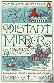 Capa do artigo A Distant Mirror